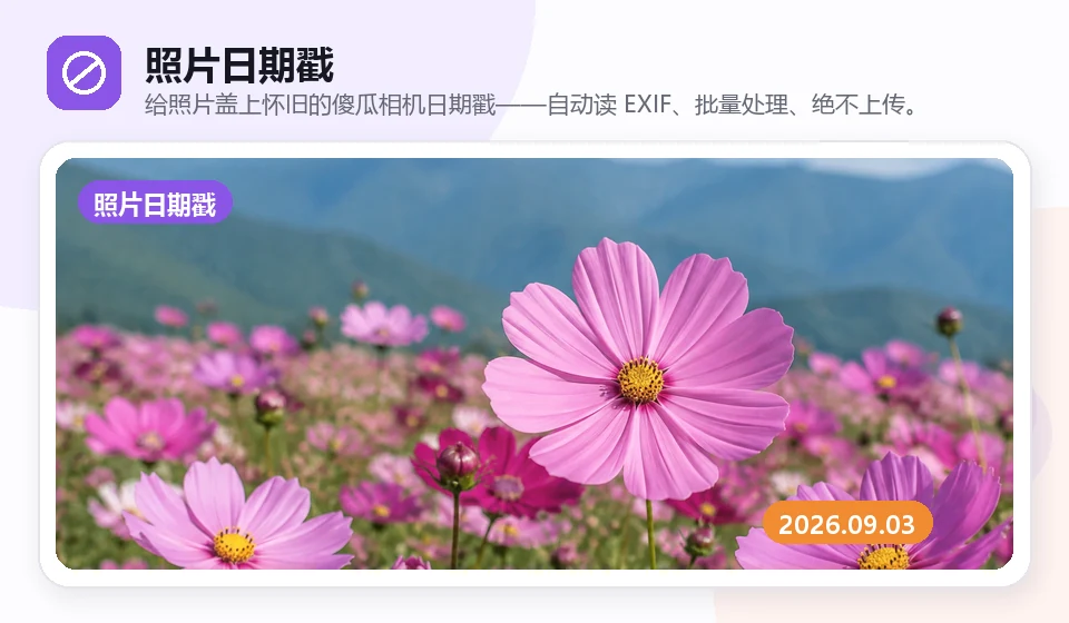 사진 날짜 스탬프 visual example