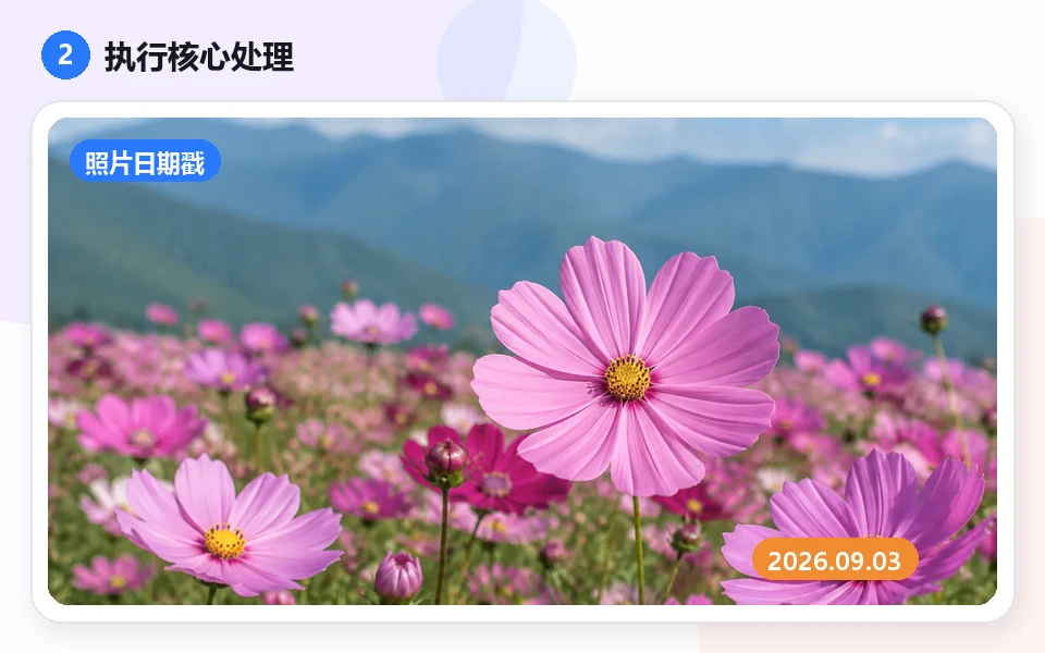 사진 날짜 스탬프: 2 · Adjust and process