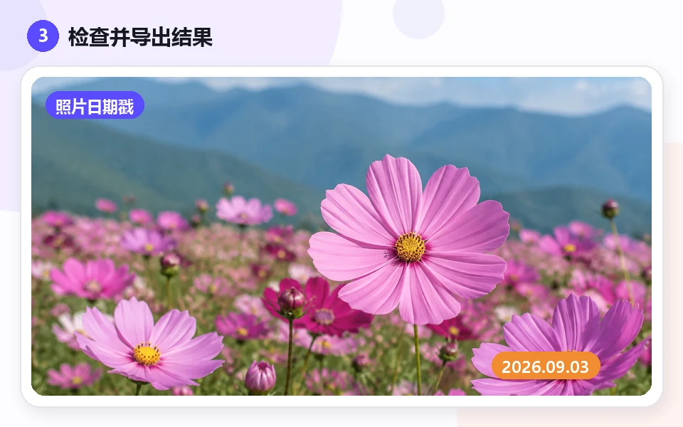 사진 날짜 스탬프: 3 · Download result