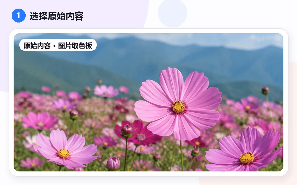 配色抽出: 1 · Choose input