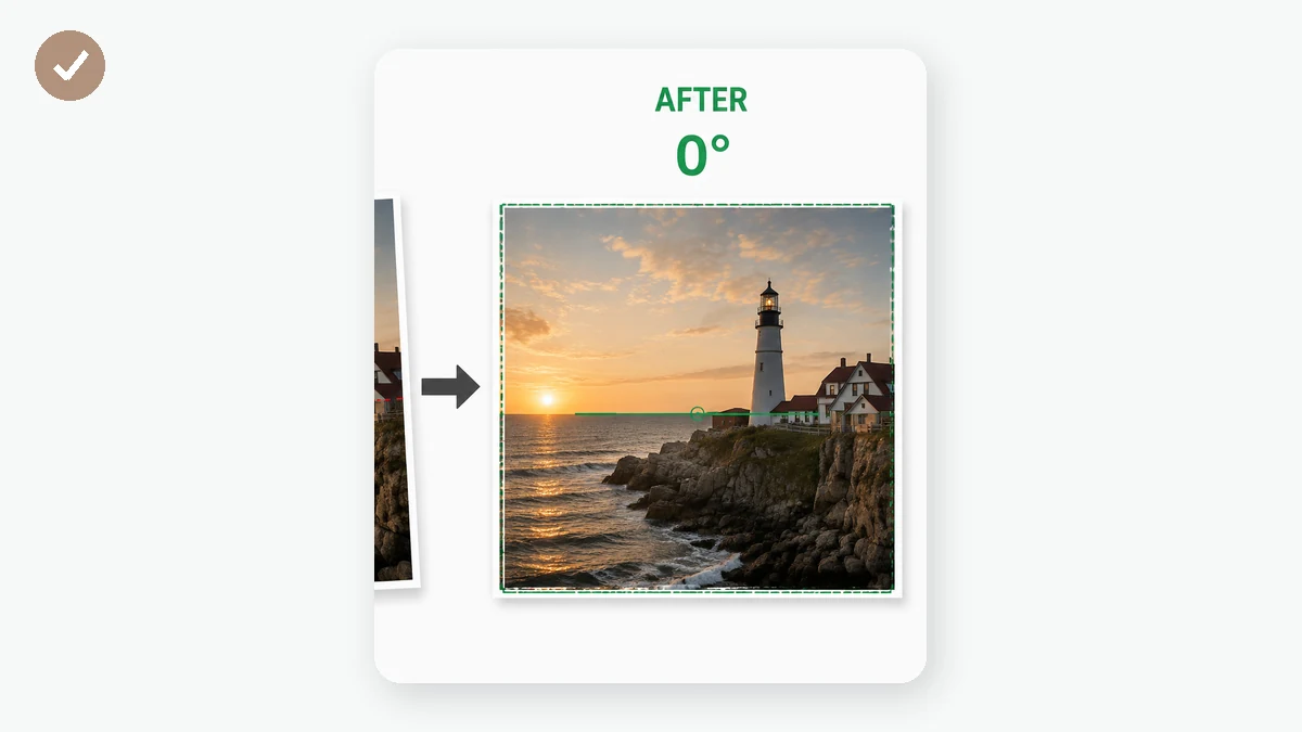 Îndreptare Fotografii: 3 · Download result