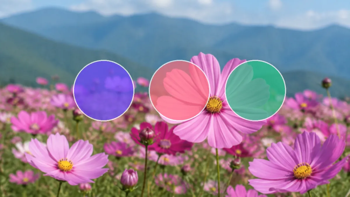 How to Get the Hex Color Code From an Image (2026) — visual 2