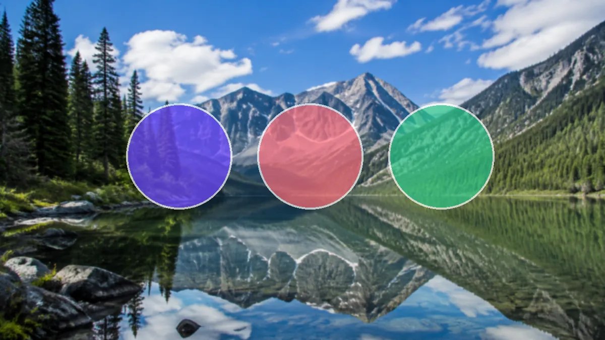 How to Batch Process Images: Compress, Convert and Resize in Bulk — visual 2