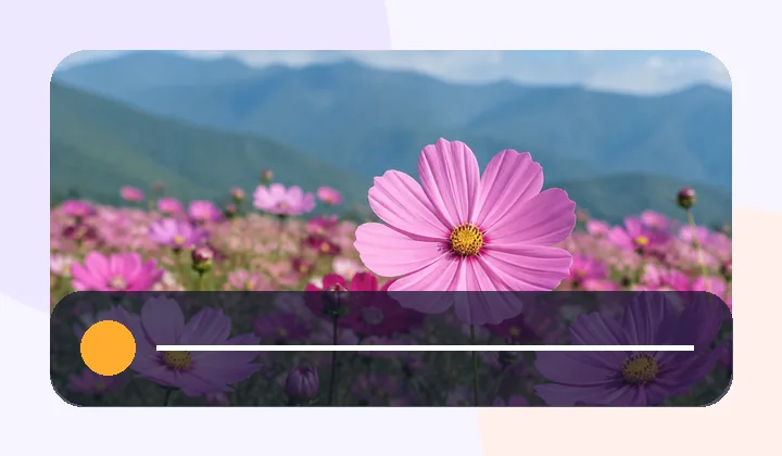 Image Color Picker