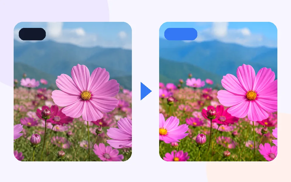 Image Color Picker: 1 · Choose input