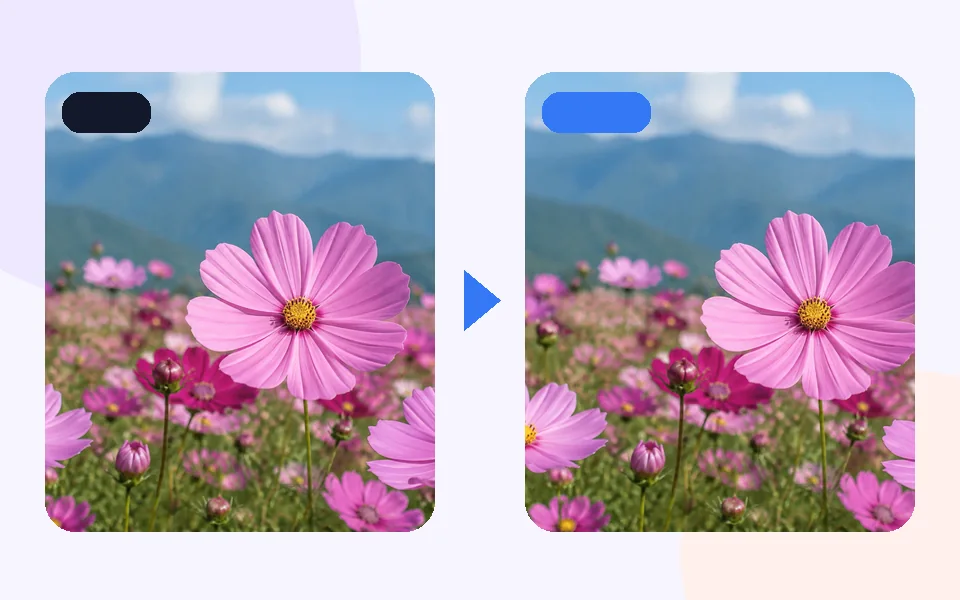 Photo Date Stamp: 1 · Choose input