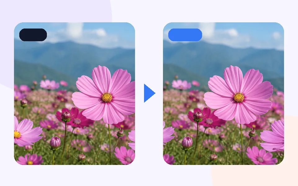 Image to SVG: 1 · Choose input
