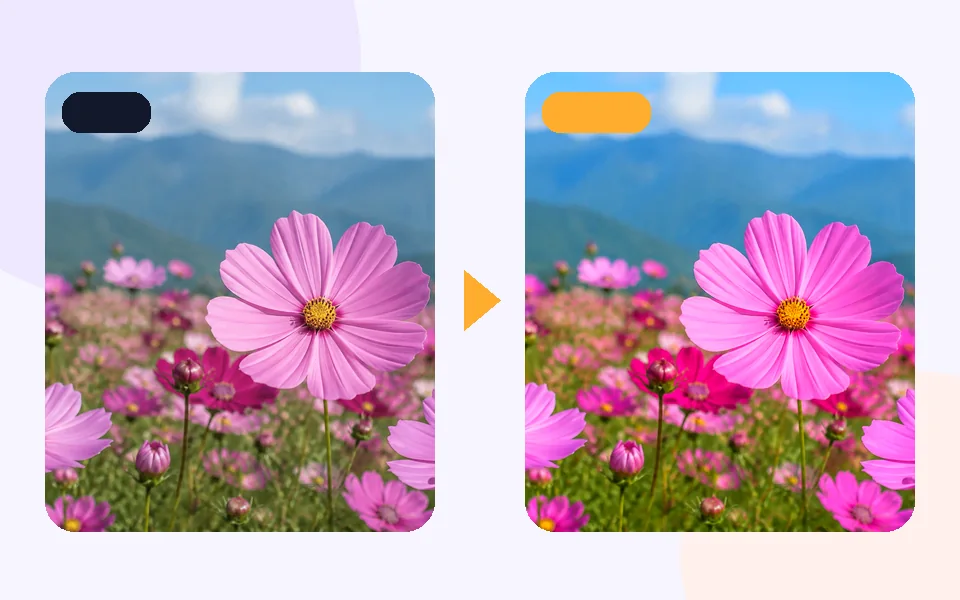 Color Palette Extractor: 1 · Choose input