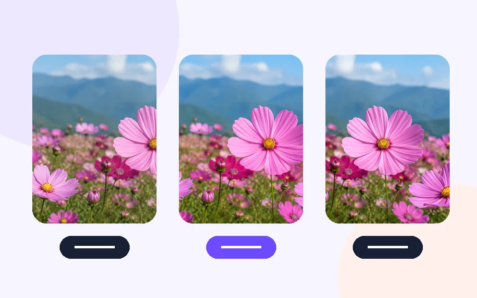 Color Palette Extractor: 3 · Download result