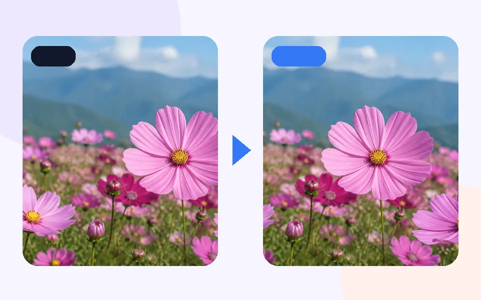Add Watermark: 1 · Choose input